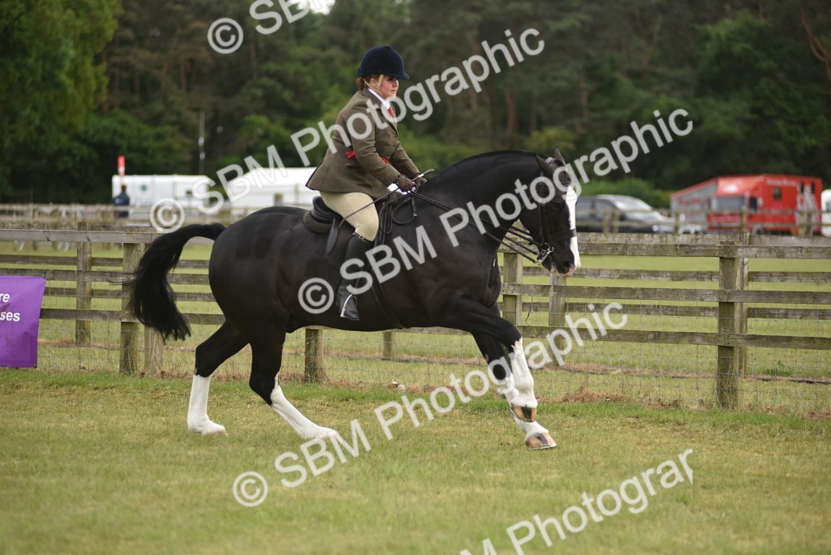SBM_18249 - Class 122-123 - LIHS BHSA Raising Star Style and Performance Series