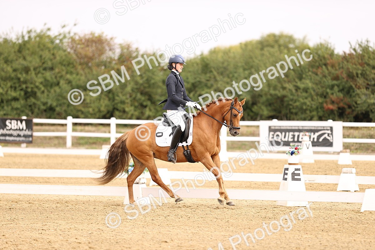 SBM_011697 - Class 1 - Medium 5