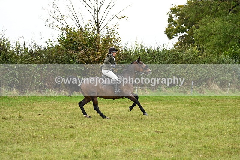 WJ7_4279 - Camera 1 Line 2