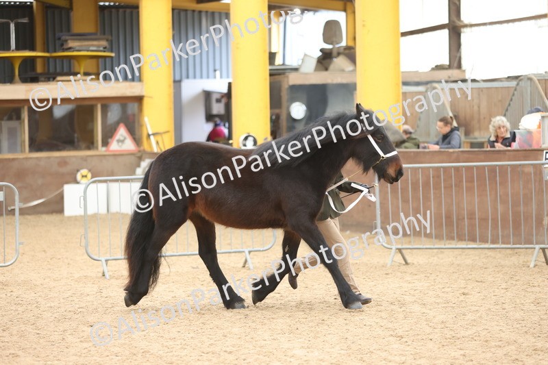 20251109-0924 - Class 26 - 2 and 4 Year Olds