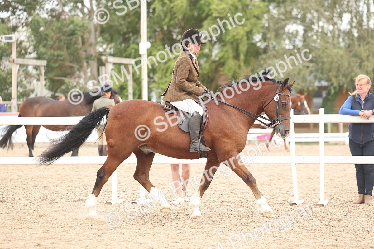 SBM_18161 - Class 315 - Best Horse-Rider Combination