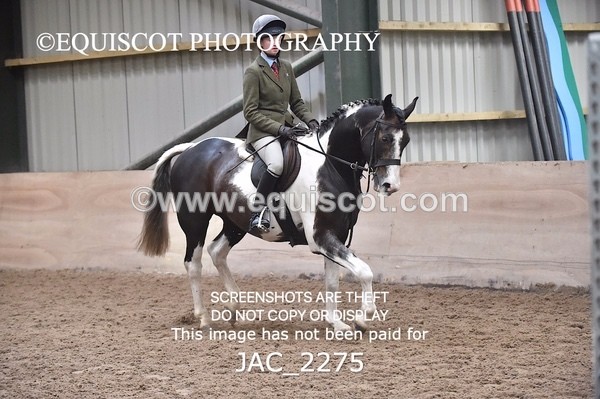 JAC_2275 - CLASS 2 Novice Working Hunter