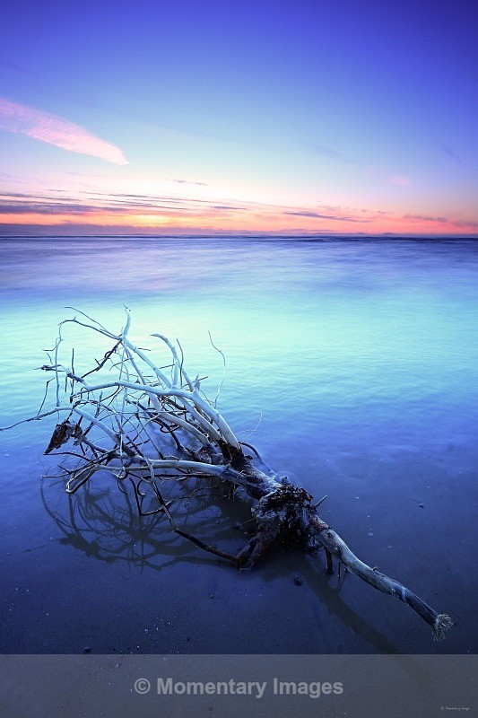 drifter - Sunrise to sunset gallery
