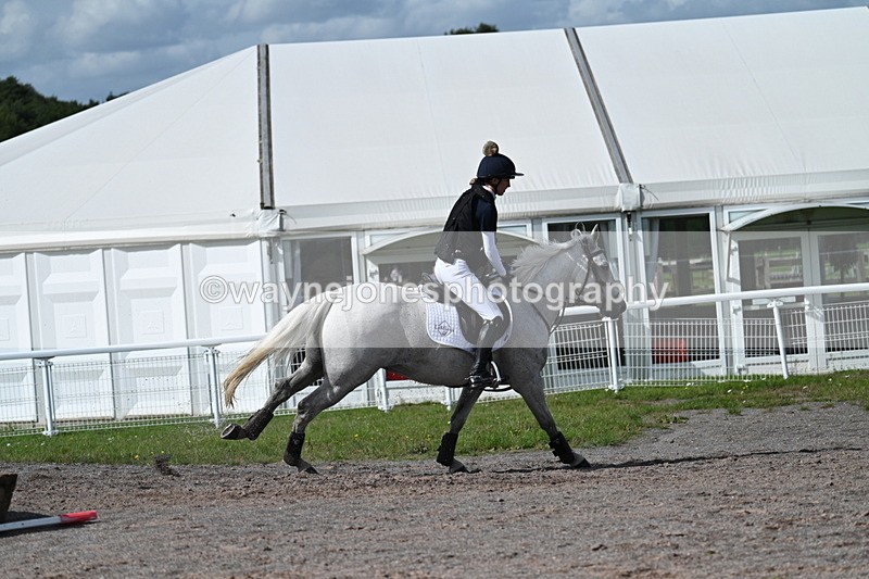 WJ7_2191 - Time 13:17 to 13:53