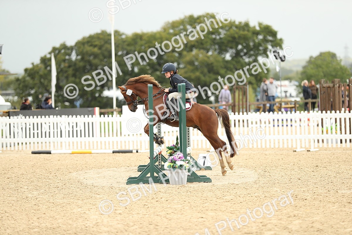 SBM_34224 - J60 Clear Round 50cm