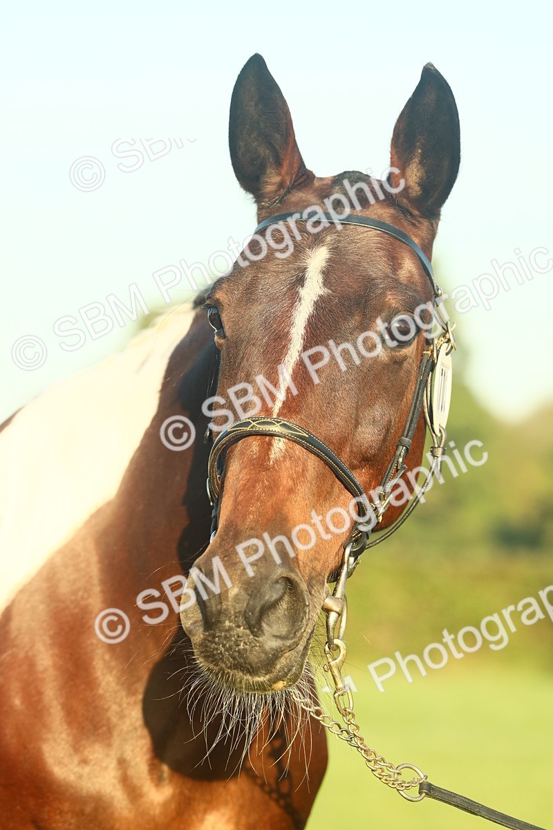 SBM_56592 - S36 - Starters Best Turnout