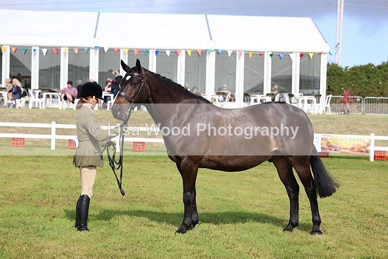 3E7A9102 - Class 3: Rising Star S/L Hunter