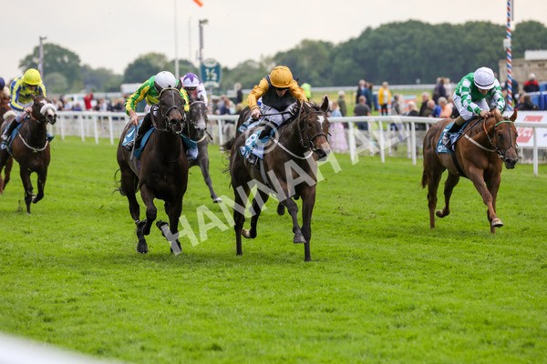 150524-Race 6-Shadow Army-1578 - Race 6 4.45pm British Stallion Studs EBF Novice Stakes