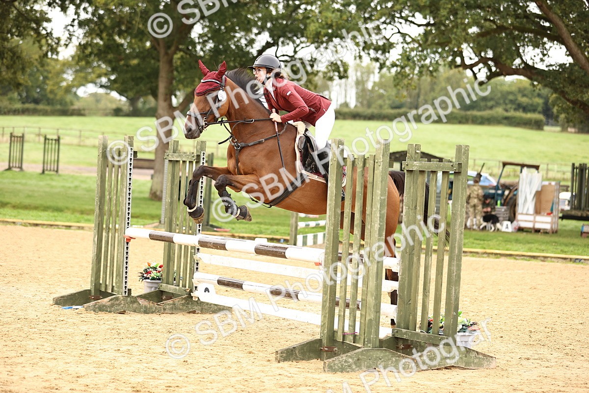 SBM_58344 - J41 - Grand Tour Horse & Pony 95cm