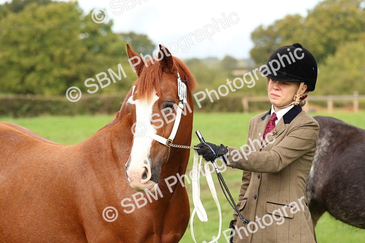 SBM_39322 - S24 - Young Veteran In Hand