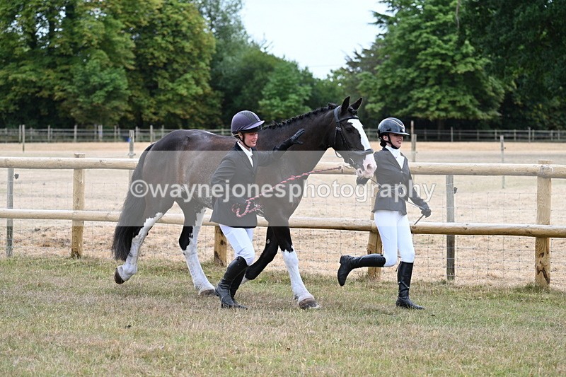 WJ7_8931 - Class 4a Prettiest Mare 14.2hh and over