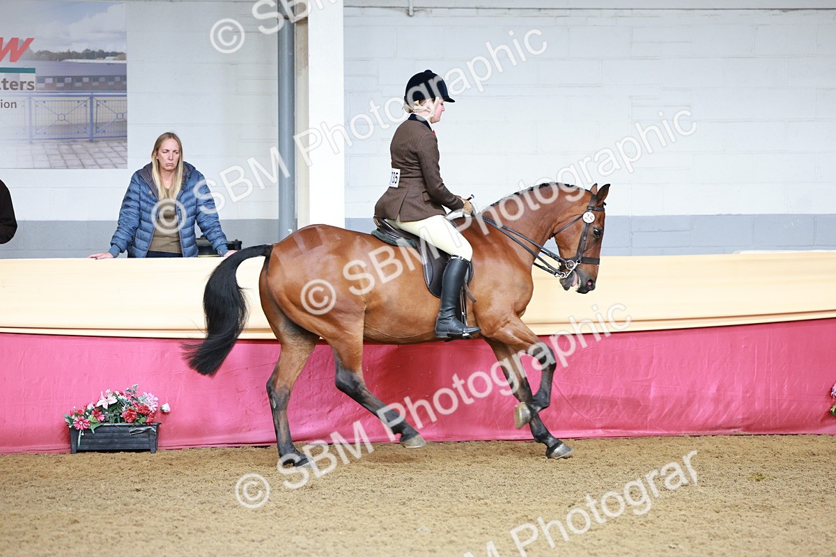 SBM_11866 - Class 102 - Equitation (Best Rider) Adult