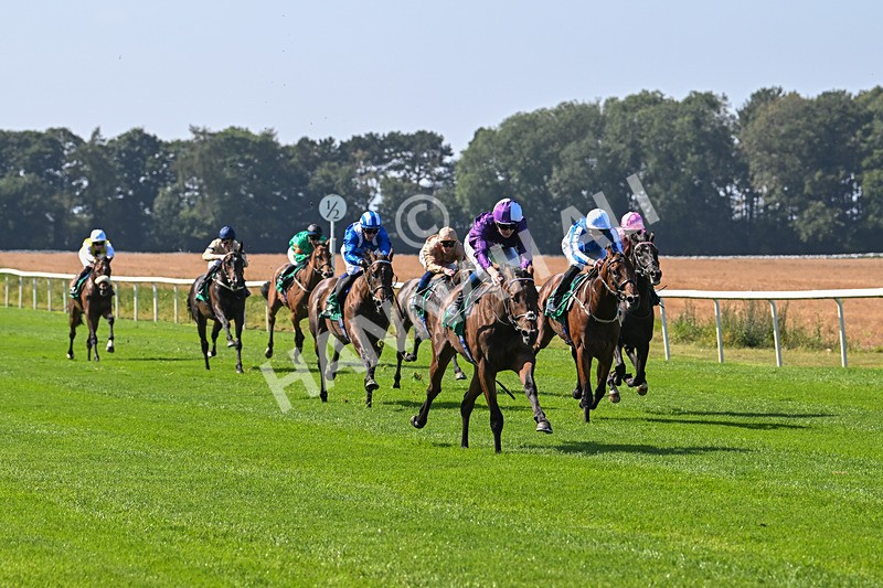 300824-Race 1-Tuscan Hills-5595 - Race 1