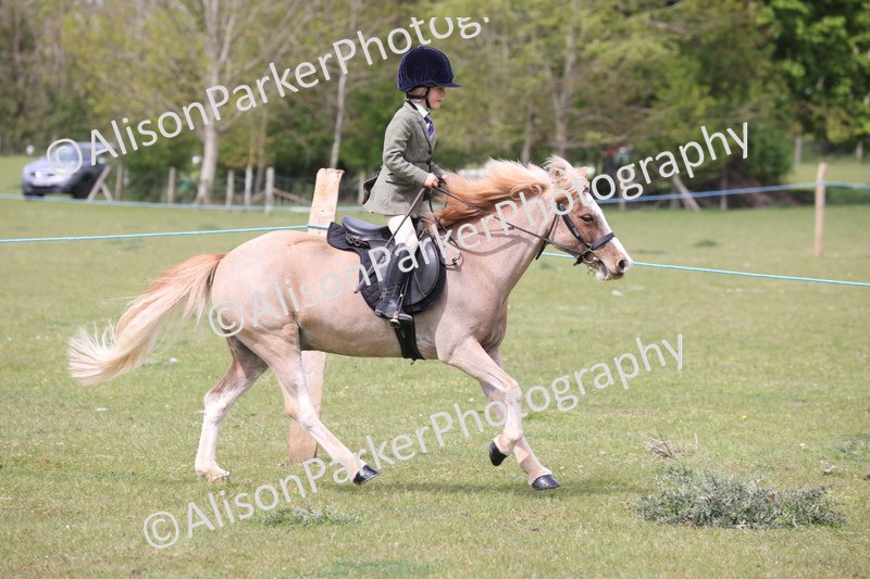 20260426-2983 - Class 33 - Best Pony 14.2hh and Under