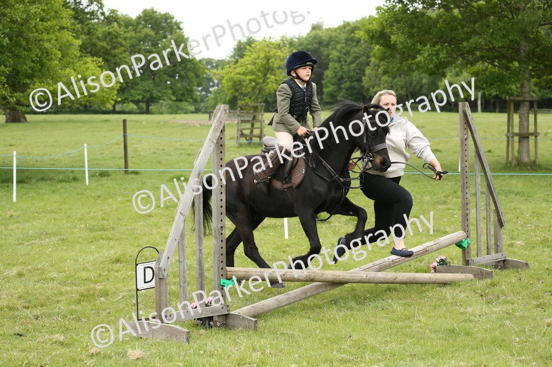 20250517-0452 - Class 20 - Beginners Working Hunter