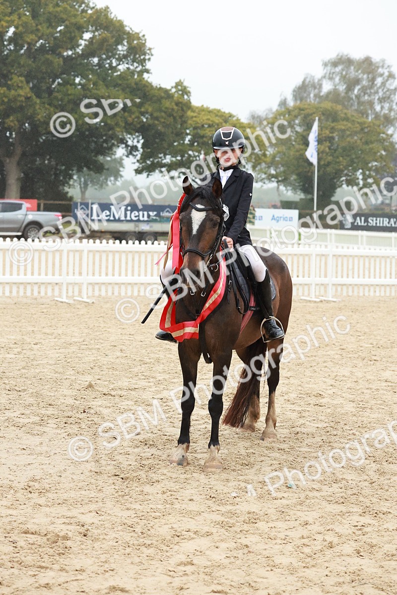SBM_73461 - Supreme Championship Junior Pony 60cm & 65cm