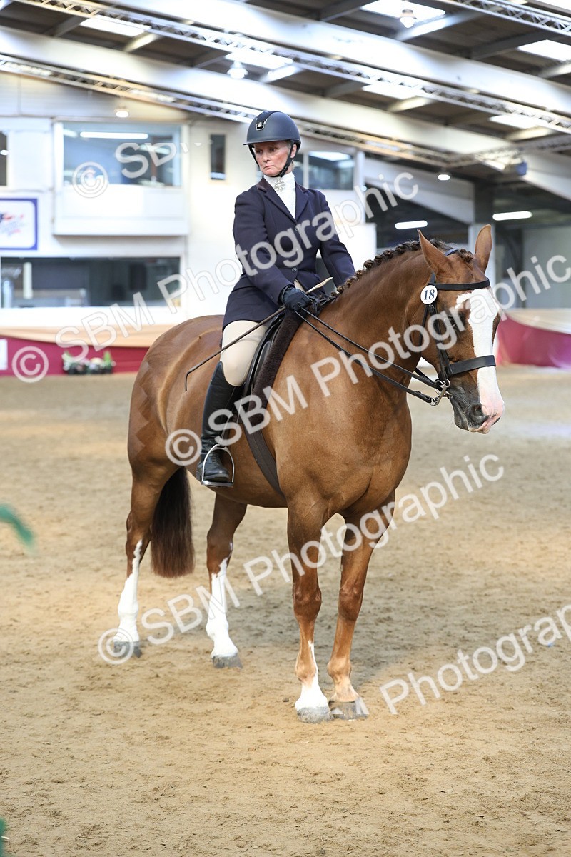SBM_23792 - class 906 - Supreme Final - Ridden Pre Vet
