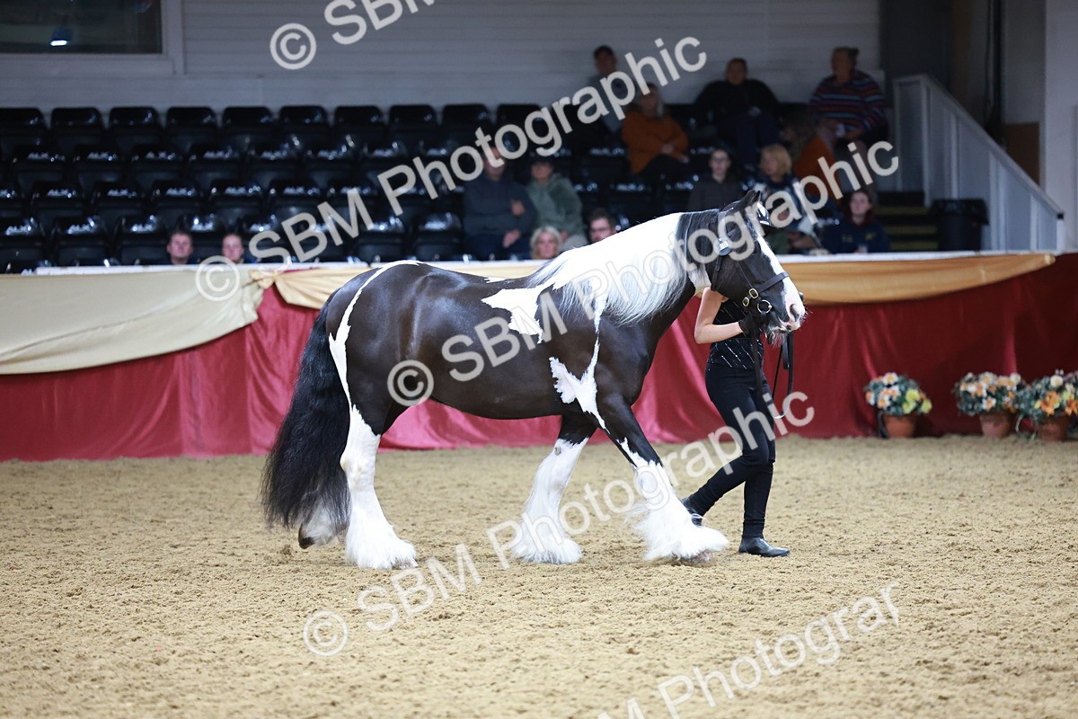 SBM_20095 - Class C - Novalty Champ