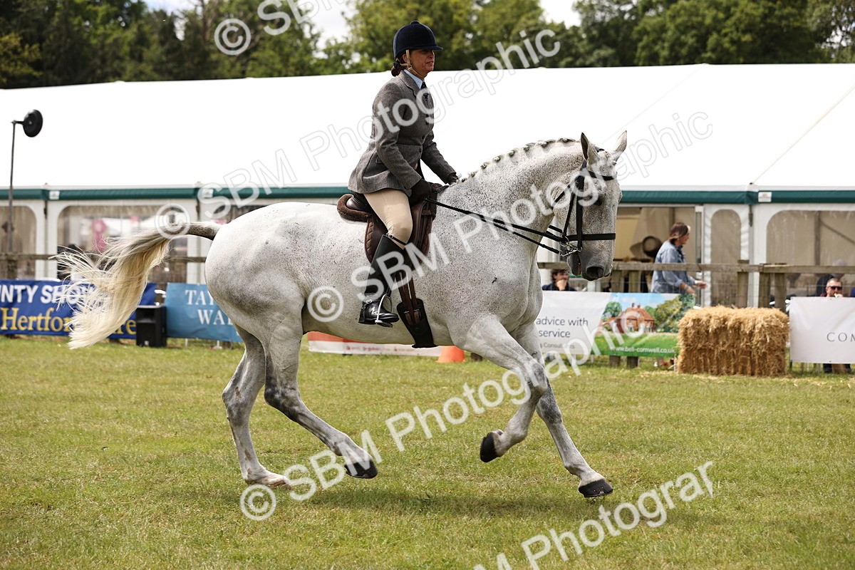 SBM_14659 - Class 88-89 - LIHS BSHA Rising Star of Ridden Hunter Type