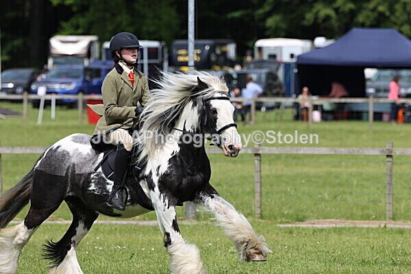 IMG_3174 - Working Hunter