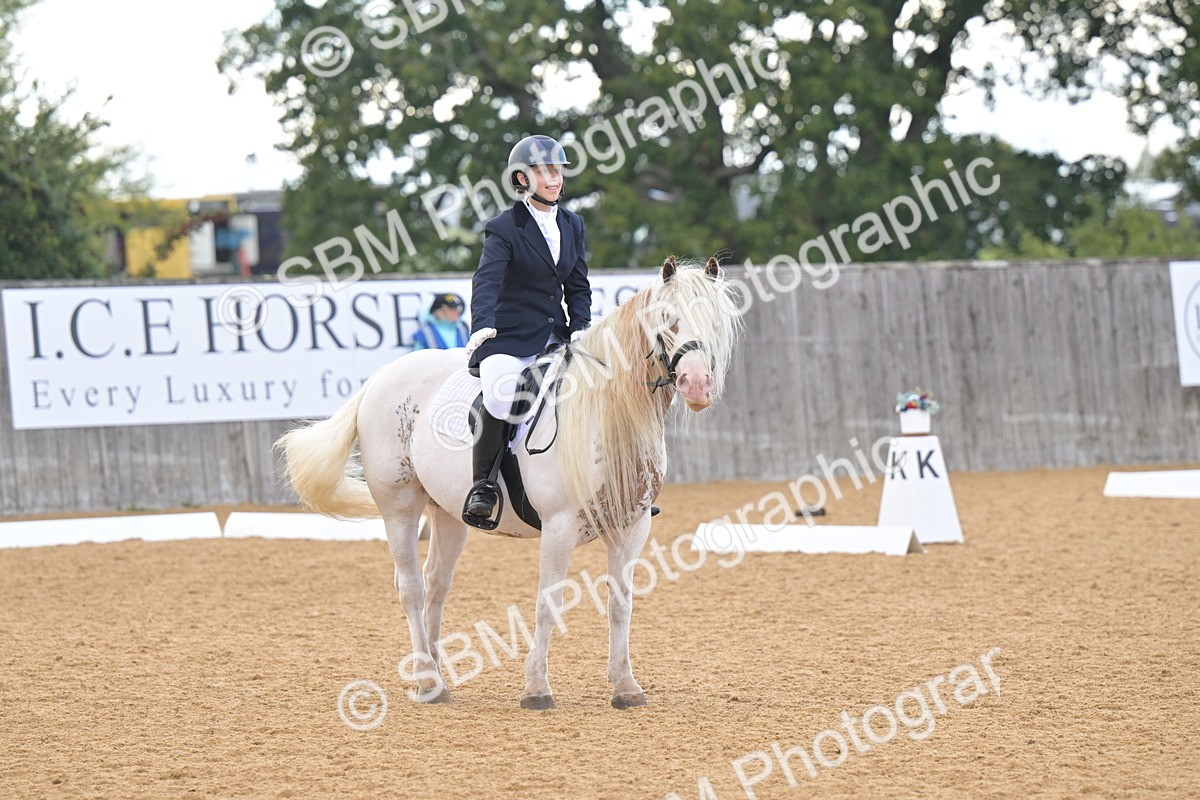 SBM_11230 - D3 - Small Tour Championship Intro 3