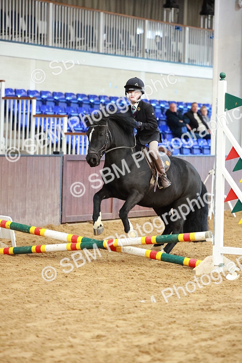 SBM_005177 - Class 1 - 40cm