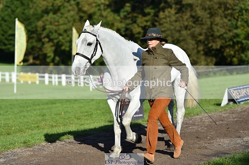 231022-103334-22563 - 459-CEIDE.HUMPHRY-Helen.Hickson-TrotUp+SJ