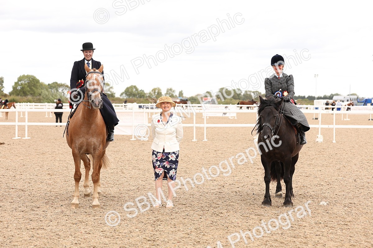 SBM_16445 - Class 211 - Best Side Saddle Horse - Pony