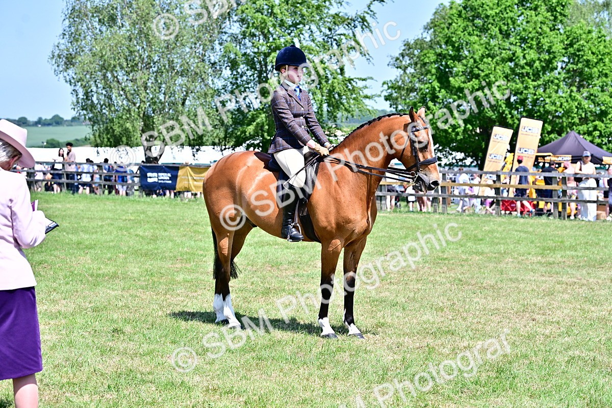 SBM_15351 - Class 95-97 - BSPS LHS Performance Ponies