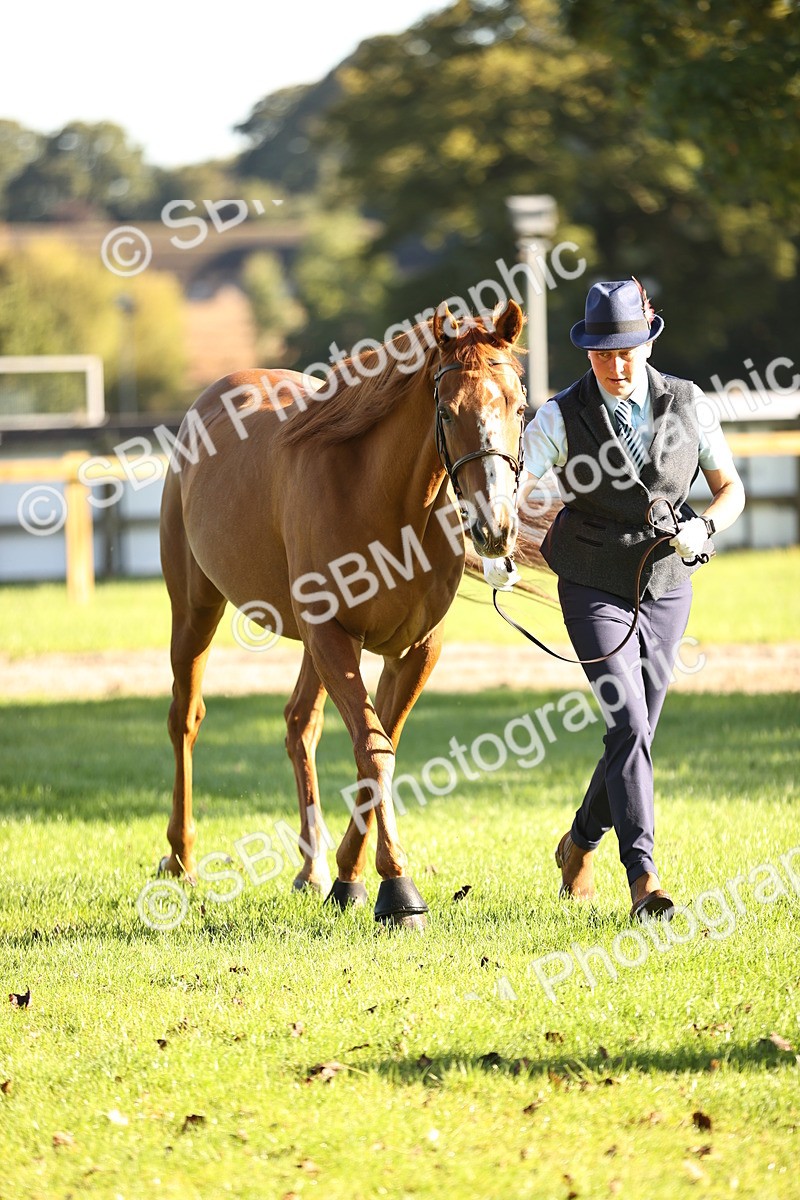 SBM_15740 - S1 - TSR in Hand Horse & Pony Showing