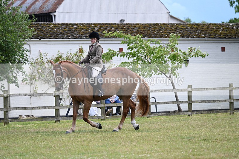 WJ7_9356 - Class 8 Ridden Veterans