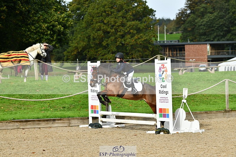 251004A-105013-00439 - Classes 4 & 5 50cm