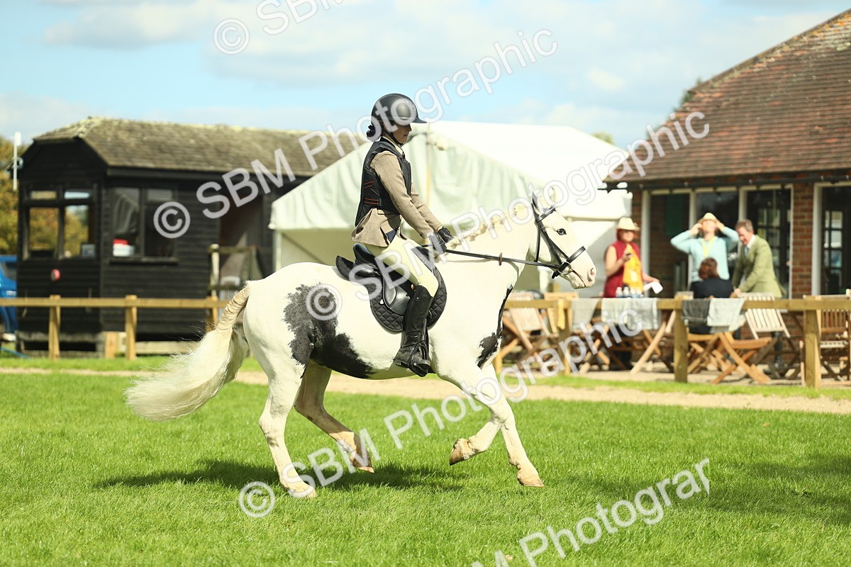 SBM_44699 - S31 - Working Hunter Pony