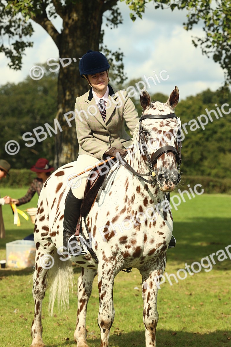 SBM_62520 - S62 - Foreign Breeds Ridden