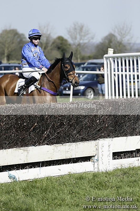 PtP 260317 151 - Mendip Farmers Point-to-Point Ston Easton 26/03/17