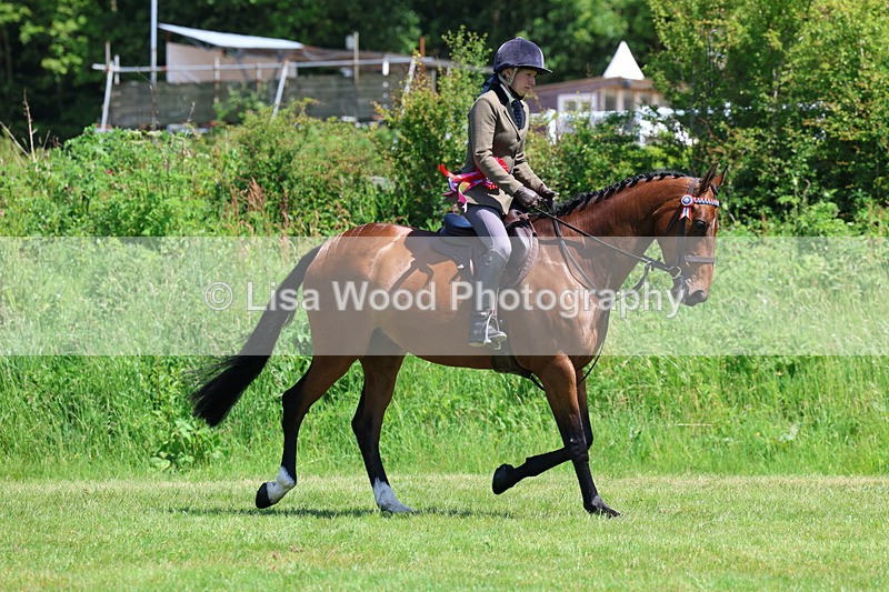 3E7A8034 - Working Hunter Championship