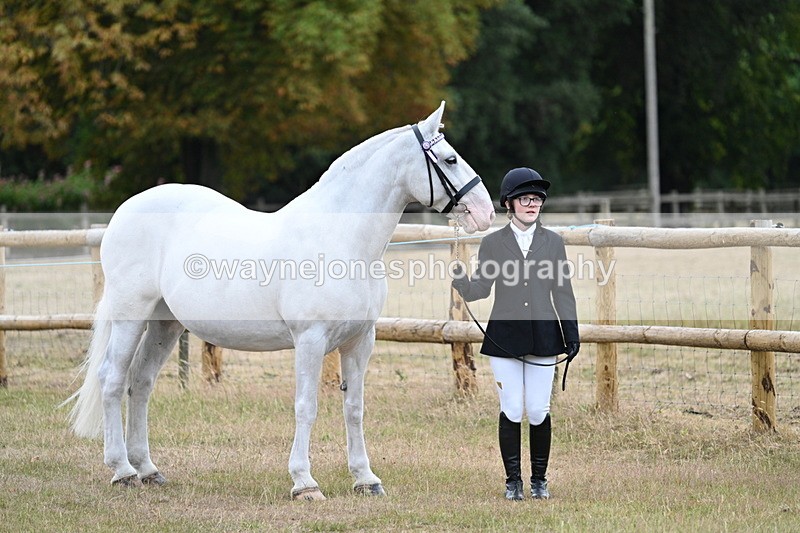 WJ7_8856 - Class 4a Prettiest Mare 14.2hh and over