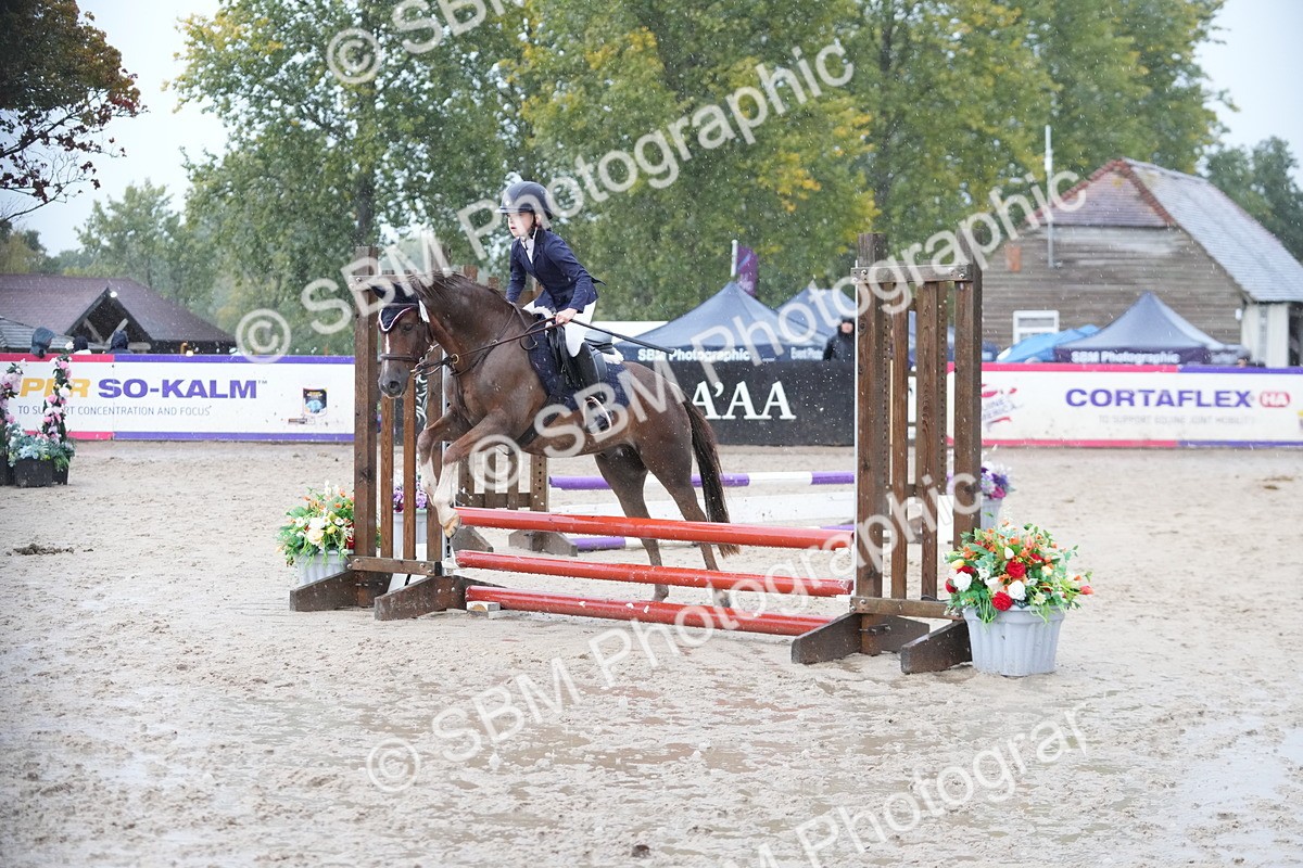 SBM_36241 - J5 - Junior Pony 50cm Championship