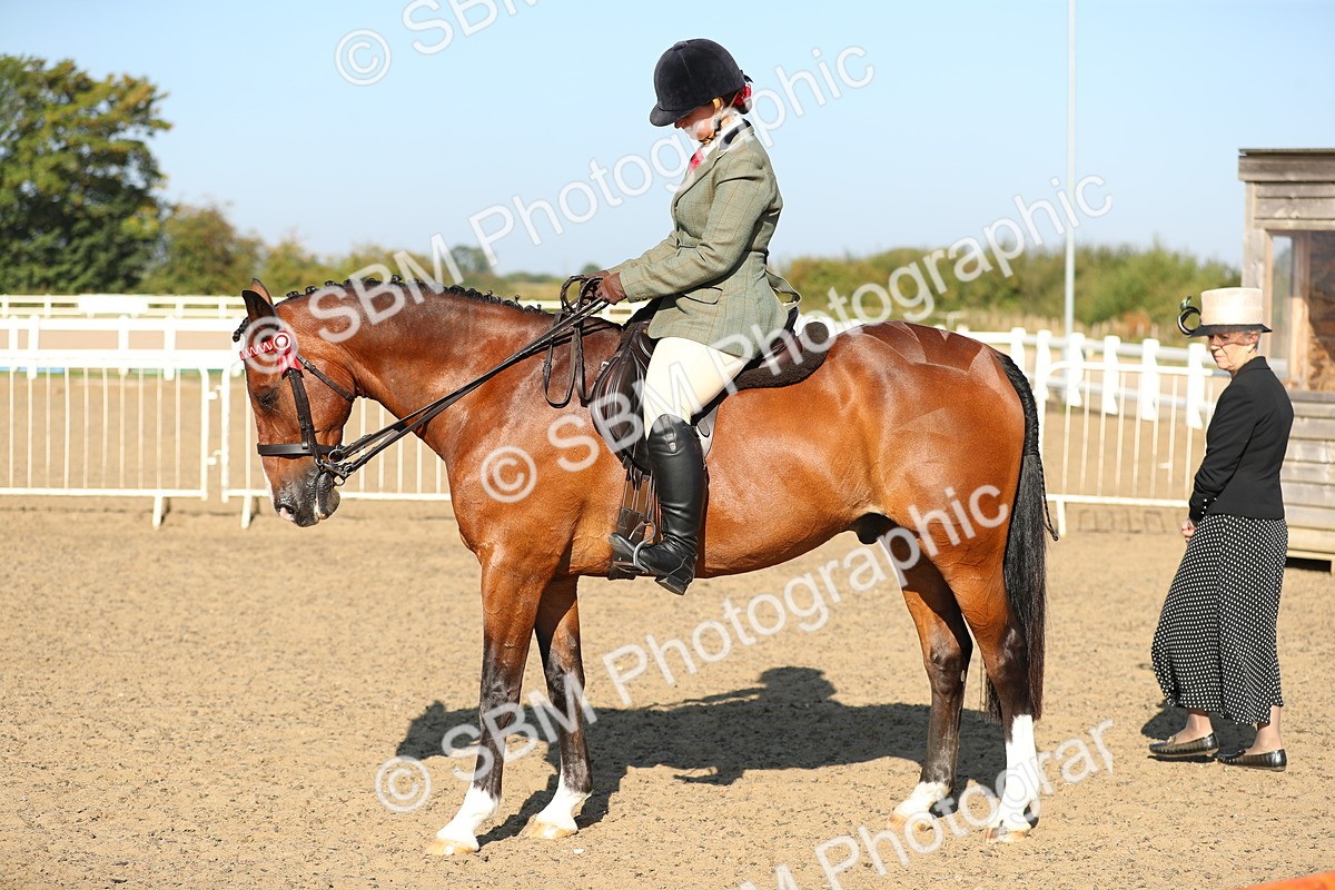 SBM_01210 - Class 42 Ridden Veteran