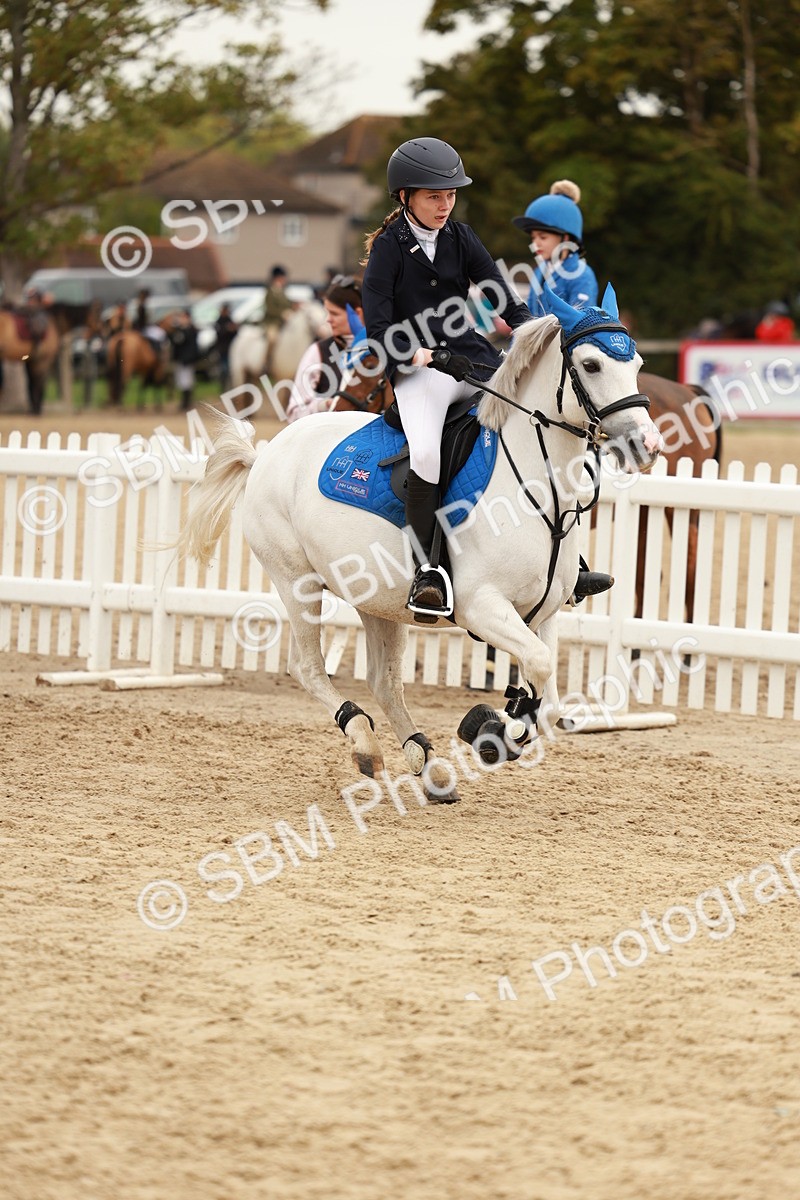 SBM_57960 - J11 - Junior Pony 50cm Championship