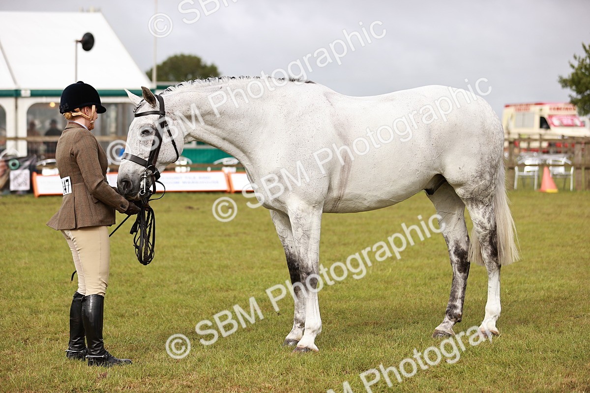 SBM_10876 - Class 81-84 - RIHS Ridden hunters Inc Ladies Hunter