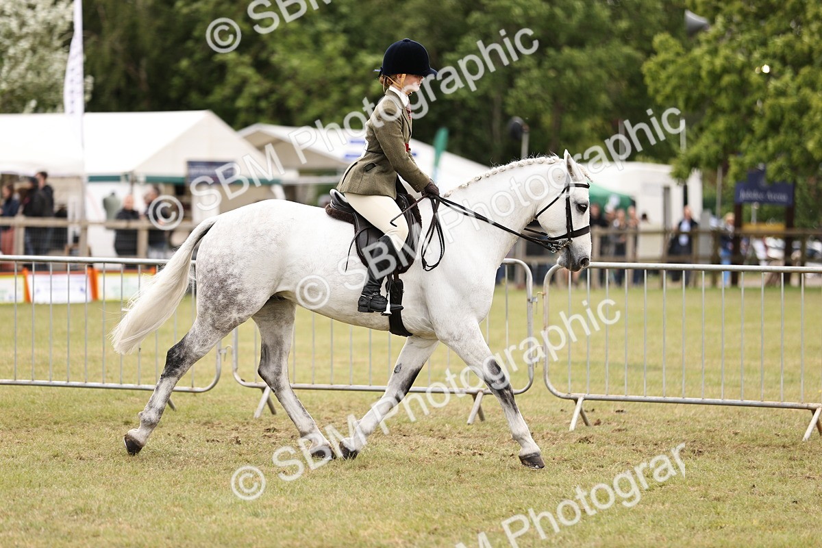 SBM_14636 - Class 88-89 - LIHS BSHA Rising Star of Ridden Hunter Type
