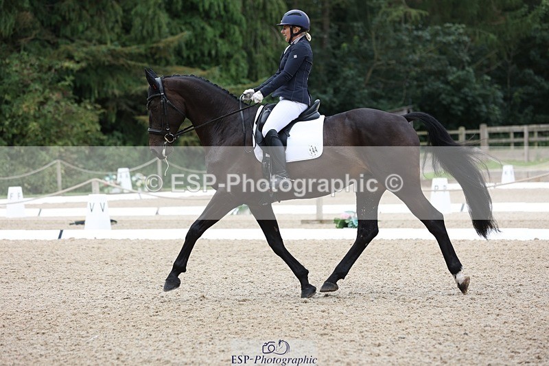 230813-102013-06257 - Cls 11 Elem Bronze Start to 10.50 break