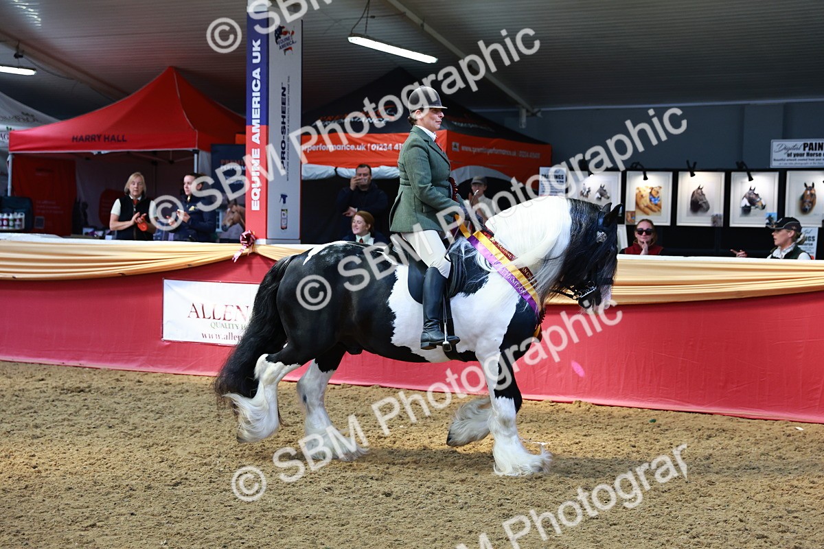SBM_12806 - HOYS Veteran Qualifier - Ridden Champ