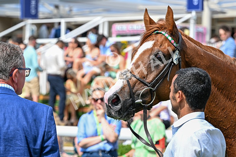 270626-Race 4-Qirat-5190 - Race 4 14.58pm Al Basti Equiworld Dubai Criterion Stakes