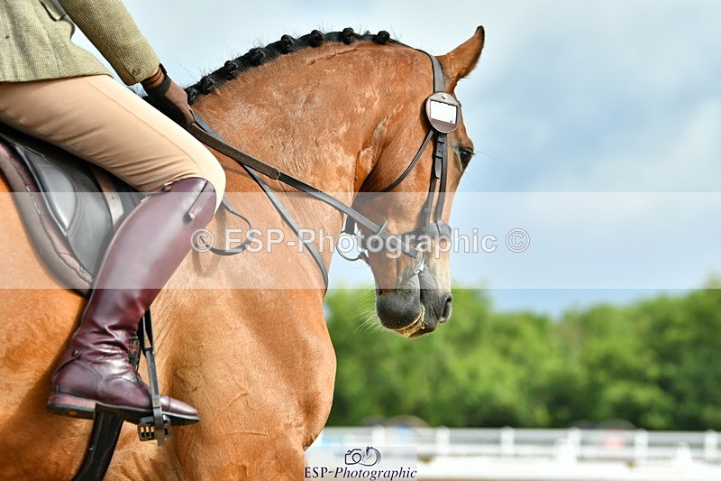 230708A-092231-02068 - Prelim 13