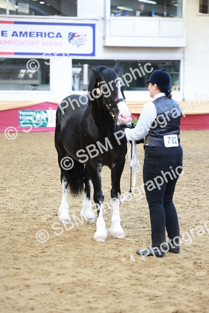 SBM_17461 - Class 951 - M&M IH Supreme Final