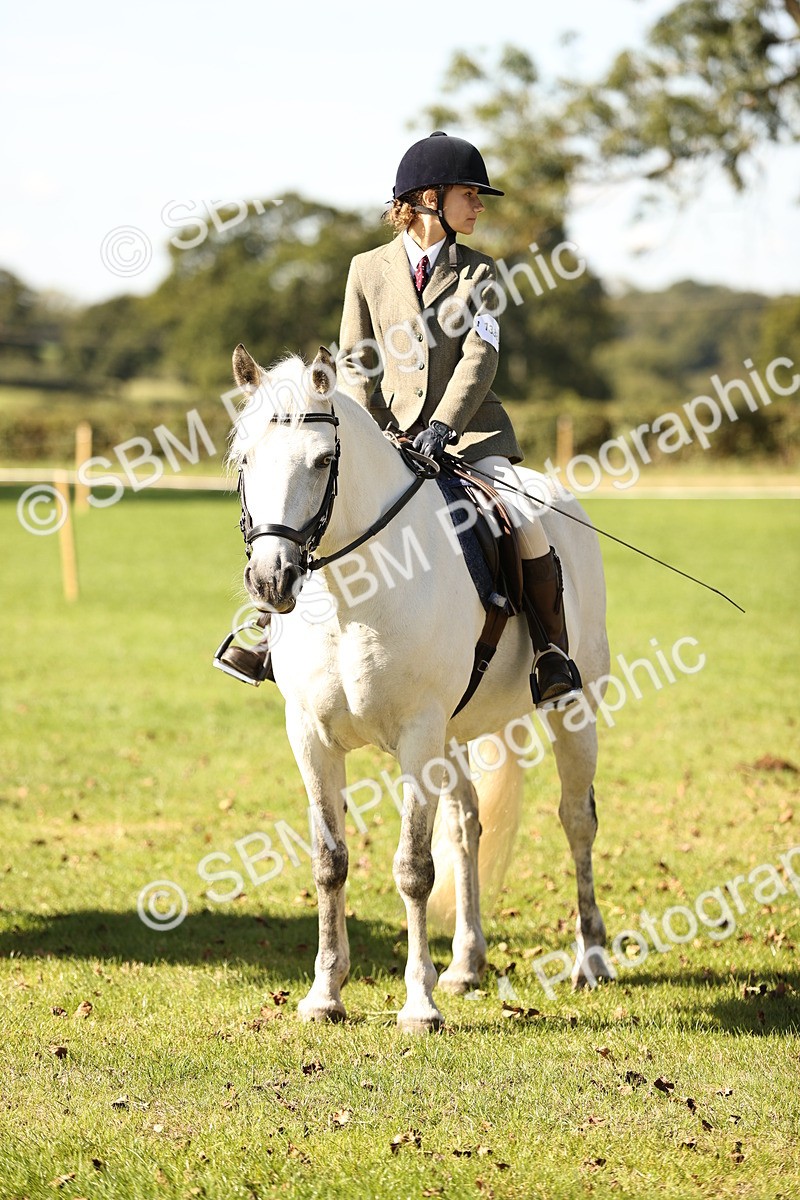 SBM_19185 - S3 - TSR Ridden Pony Showing