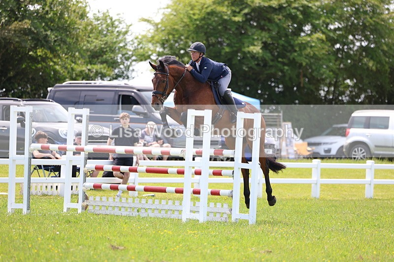 3E7A1385 - Class 12: Senior Foxhunter/1.20 open