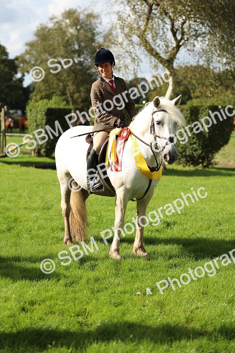 SBM_46428 - Working Hunter Pony Supreme Championship